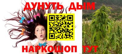 индика Апшеронск