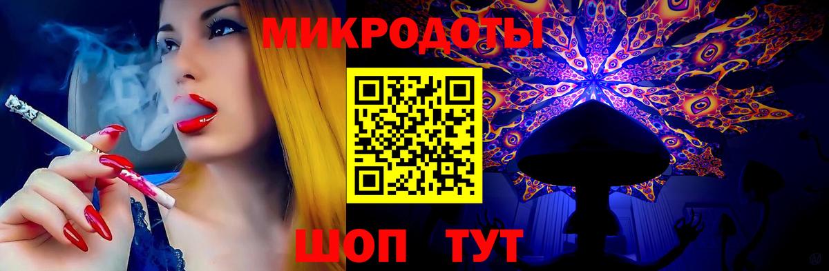 Галлюциногенные грибы Psilocybine cubensis Черкесск