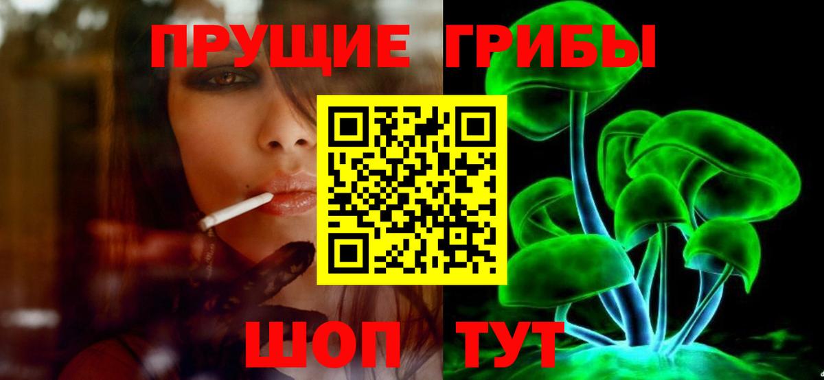 Черкесск  как найти   Вход с VPN  Галлюциногенные грибы мухоморы 